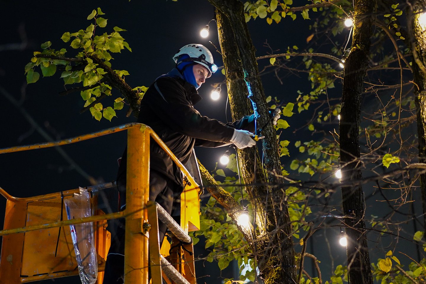  Laisvės alėjoje įžiebiamos lemputės.<br> G.Bitvinsko nuotr.