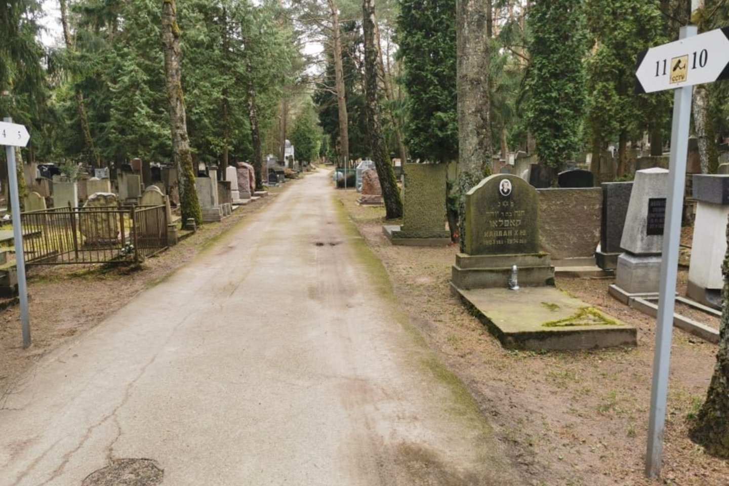 Nužudytos 15-metės kūnas buvo rastas Sudervės žydų kapinėse.<br>T.Bauro nuotr.