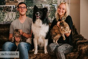 Senelio rasta katytė tapo poros draugystės pradininke ir sukūrė namus kitiems augintiniams