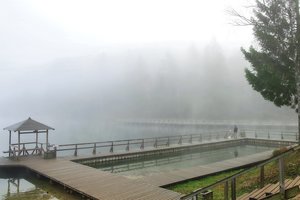 Atvykę atsikvėpti pasigenda tualetų: atlikti gamtinių reikalų – nebent į mišką