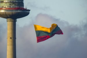 Apklausa: beveik pusė Lietuvos gyventojų nepatenkinti demokratijos kokybe šalyje