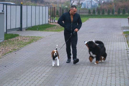 Nelaimingas atsitikimas nesutrukdė karatė čempionui Dariui Petrikauskui mylėti šunis