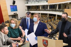 Naujojo Seimo turgus jau nepadarytų gėdos ir senajam – išlindo klampios intrigos