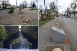 Širvintos atsikrato brandžių medžių: krito apie 200 liepų centrinėje gatvėje