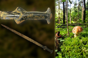 Išėjo grybauti – bet rado kai ką nepalyginamai vertingesnio