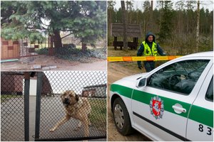 Kaune – kraują stingdantis išpuolis: piktadariai pakorė keturkojį