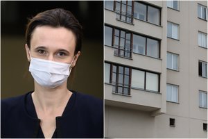V. Čmilytė-Nielsen apie Seimo viešbučio privatizavimą: įvertinsime, kiek tai kainuotų biudžetui ir kokia būtų nauda