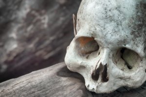 Šiurpioji žmonijos istorija: 10 kanibalizmo apraiškų nuo senų laikų iki dabar