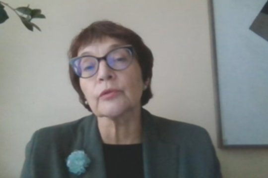 Profesorė įvertino paskelbtą ministrų sąrašą: „Išsilavinimas geras, bet politinės patirties nedaug“