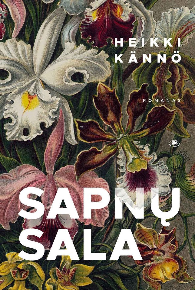 Naujienų lentynas jau pasiekė suomių rašytojo ir dailininko Heikki Kanno romanas „Sapnų sala“.