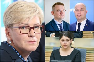 I. Šimonytė palygino A. Dulkį ir A. Verygą bei įvertino G. Skaistės „jaunystės klaidą“