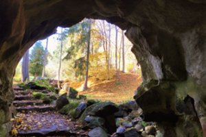 Tarp idėjų savaitgaliui – 10 vietų: vienoje jų auga brangiausias pasaulio medis