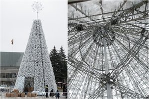 Panevėžyje iškilo baltutėlė Kalėdų eglė – pirmą kartą tokia