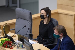 V. Čmilytė-Nielsen: kitą savaitę numatomi pokalbiai su LVŽS lyderiais dėl frakcijos atstovavimo