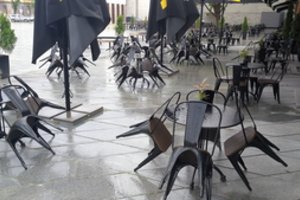 Didelės įmonės norėtų daugiau subsidijų: ragina valdžia neprarasti savo „dedančių auksinius kiaušinius vištų“