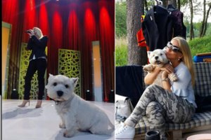 Dainininkė V. Genytė – apie visos šeimos numylėtinį Bučkį: „Jis yra mūsų šeimininkas“  