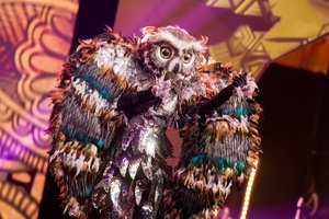 Paaiškėjo, kas slėpėsi po Pelėdos, Elnio ir Gėlės kaukėmis: komisija neteko žado