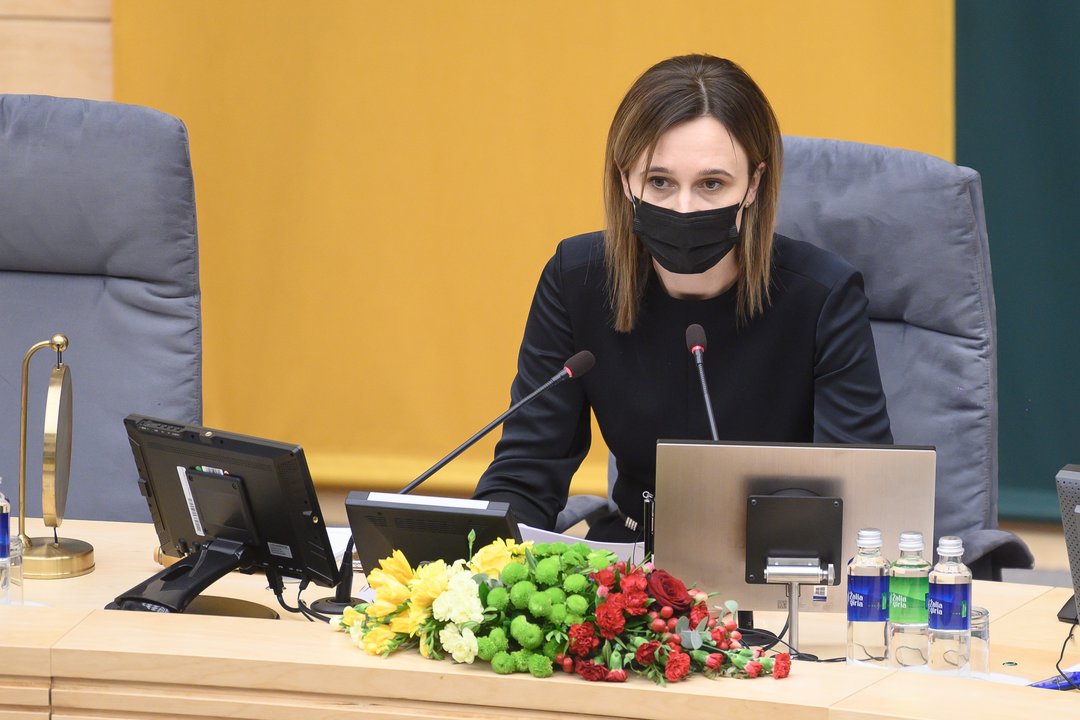 V. Čmilytė-Nielsen pranešė, kaip koronavirusas keičia Seimo darbą: savaitei stabdomi posėdžiai, atsiranda papildomi ribojimai
