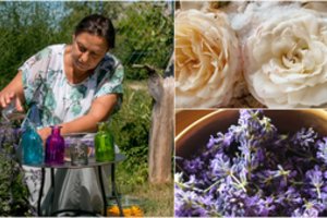 Aukštai iškilusią klaipėdietę nuo negerovių saugo močiutės receptas