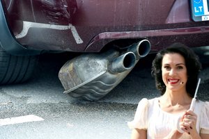 Aktorė T. Razmislavičiūtė-Juodė prašo padėti: po vagių vizito automobilis nepajuda iš vietos