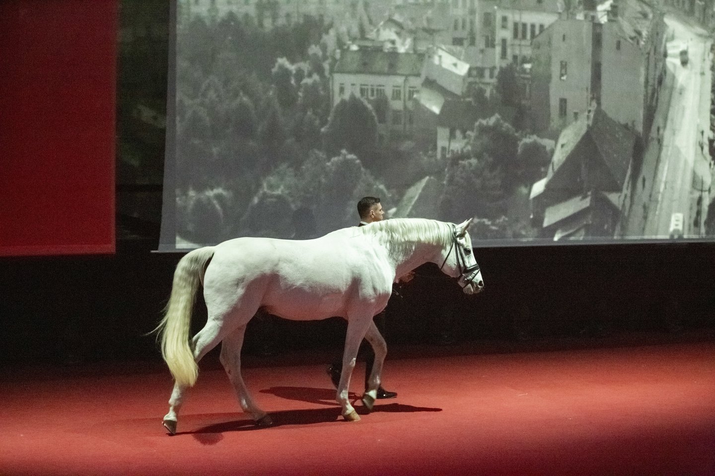 Ceremonija prasidėjo scena su baltu arkliu, primenančia A.Grikevičiaus dokumentinio filmo „Laikas eina per miestą“ kadrą.<br> A.Žičiaus nuotr.