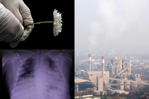 Europoje kasmet anksčiau laiko miršta beveik pusė milijono žmonių: mokslininkai rado kaltininką