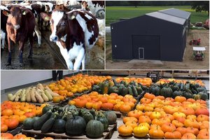 Fermų bei sandėlių statybai parama – solidi, bet solidūs ir projektai