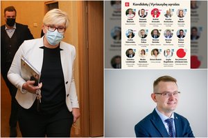 I. Šimonytės kandidatus į ministrus įvertinęs profesorius pabrėžė: lietuviams gali tekti pajausti diržų veržimo pasekmes