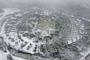 Arvydas Lekavičius. Verslą raupsais užkrečia politiniai skersvėjai