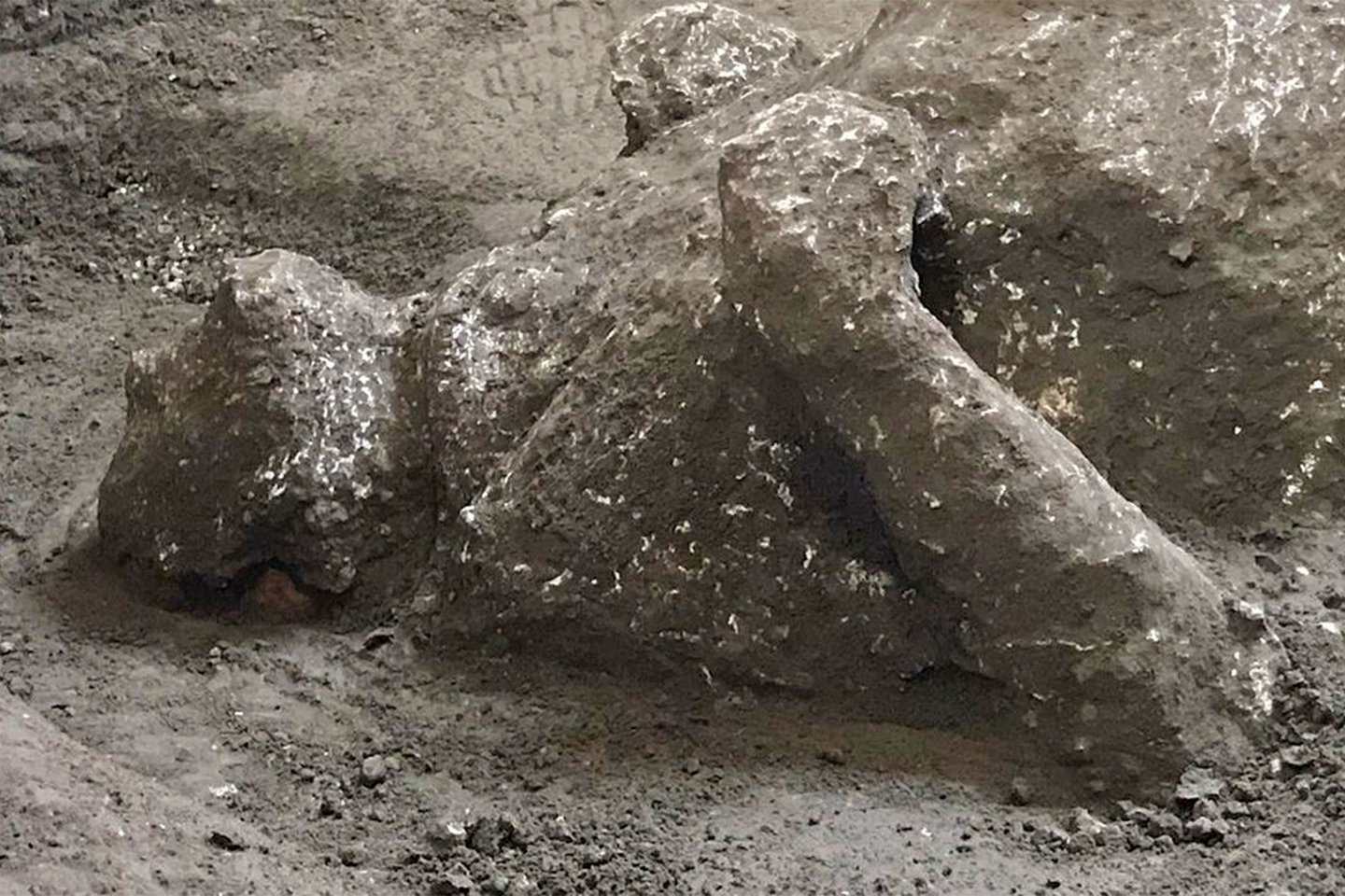  Archeologai atrado ypač gerai išsilaikiusius dviejų vyrų palaikus, kurie išliko po ugnikalnio išsiveržimo, 79 m. sugriovusio senovės Romos miestą Pompėją.<br> AFP / Scanpix nuotr.