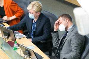 Įvertino balsavimą dėl I. Šimonytės: atskleidė valdančiųjų silpnąją vietą