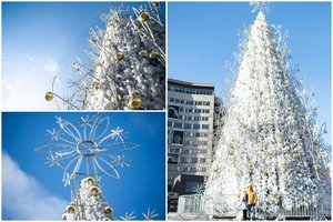 Pasakiškai balta Kalėdų eglė Panevėžyje: dar neįžiebė, o žmonės jau plūsta