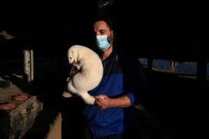 Po viruso mutacijos audinių ūkiuose lietuviai suka galvas, kaip elgtis: danai patys pripažįsta, kad priskaldė malkų