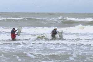 Į pajūrį traukia gintarų gaudytojai: vieni tai daro dėl azarto, o kiti iš to ir užsidirba