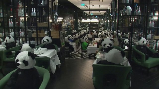 Vaizdelis nustebins ir visko mačiusius: Vokietijos restorano stalai užpildyti šimtu žaislinių pandų