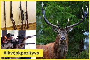 Kuriozas miške: elnias ragais nuginklavo medžiotoją ir pabėgo