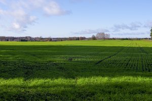 Ūkininkai gali neįvykdyti sutarčių dėl ekstremalių oro sąlygų
