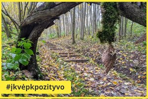 Nauja lankytina vieta pasigrožėti gamta: Rokantiškių piliakalnio pažintinis takas