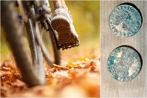 Neįtikėtina istorija: važiavo dviračiu grybauti, įkrito į lobį