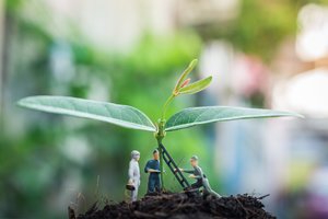 Ar žmogui sumažėjus, jis viską matytų taip pat gerai?