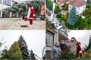 Įspūdingą tradiciją išlaikanti Klaipėda jau dalinasi jaukiais švenčių vaizdais: naująją eglę pasitiko Kalėdų Senelis