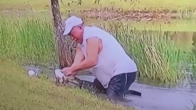 Užfiksuota dramatiška akimirka: vyras išgelbėjo savo augintinį iš aligatoriaus gniaužtų