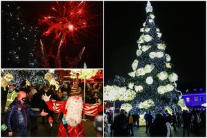 Kaune nušvito saldžios pasakų karalystės valdovė – unikali 24 metrų aukščio morenginė Kalėdų eglė