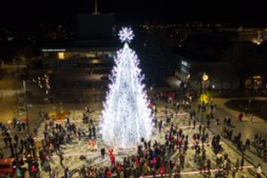Panevėžys nušvito – suspindo sniego baltumo Kalėdų eglė