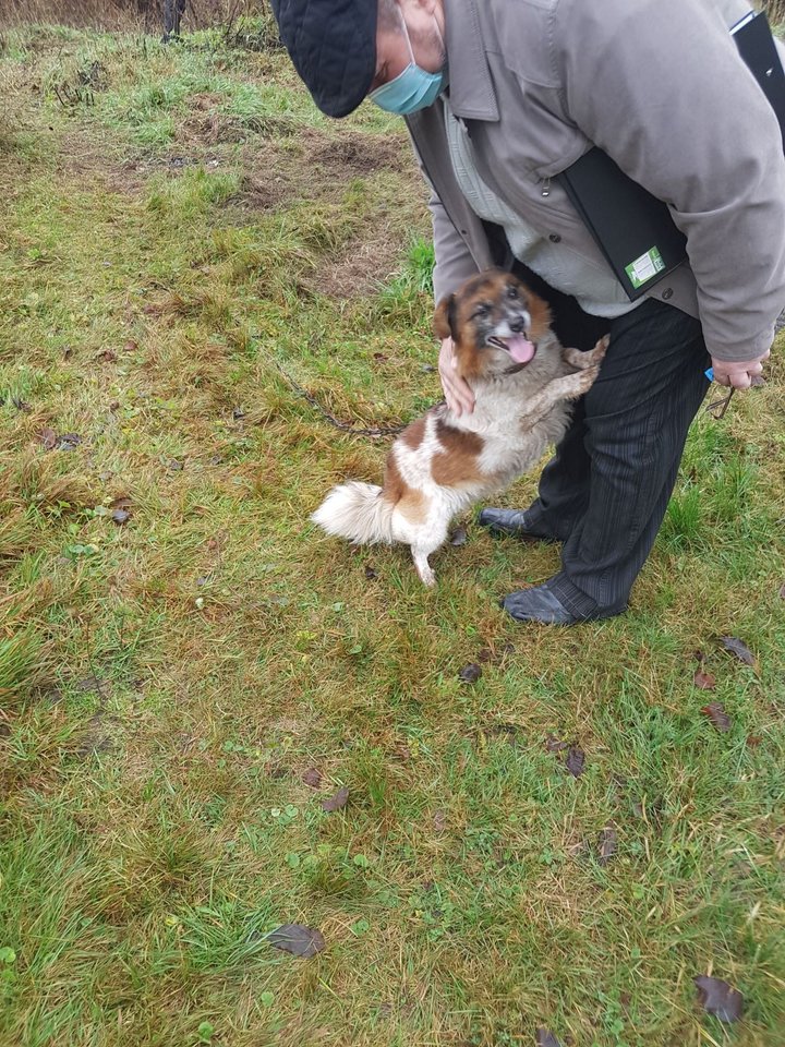  Seniūno ir VMVT inspektoriaus patikrinimo metu prie būdos rastas šunelis buvo nufotografuotas.<br> A.Kačiušio nuotr.