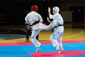 Medaliais džiaugėsi 13 kiokušin karatė klubų auklėtiniai