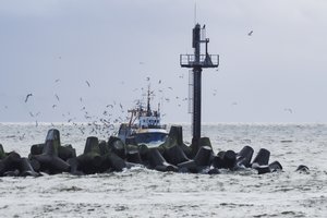 Iš verslo norintys pasitraukti žvejai galės gauti kompensacijas