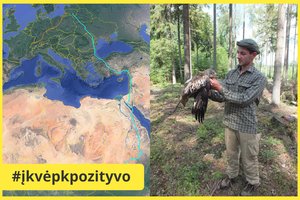 Lietuvą iš Prancūzijos ir Čado pasiekė svarbūs signalai – pažymėti paukščiai pasiekė žiemavietes