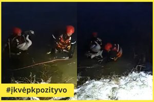 Ugniagesiams-gelbėtojams – nekasdieniška užduotis: iš ledinio vandens gelbėjo sužeistą gulbę
