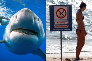 Per plauką nuo tragedijos: Egipte nardžiusią moterį dantimis griebė ryklys